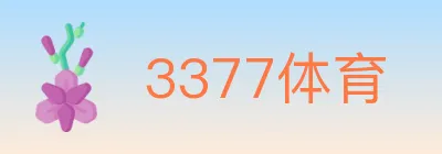 3377体育 logo